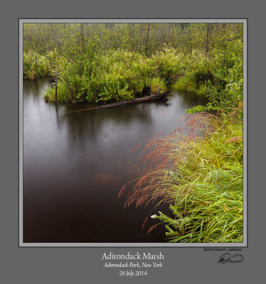 Adirondack Marsh.jpg