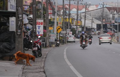 2016-02-09_115441 Crop.jpg