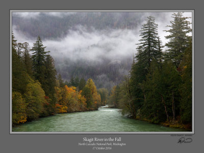 Skagit River Fall.jpg