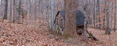 Shed f4.jpg