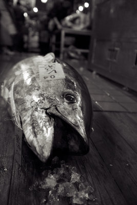  Tsukiji Fish Market, Tokyo, Japan