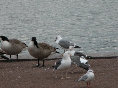 DSCN8441.JPG