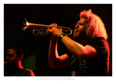 Golden Kanine