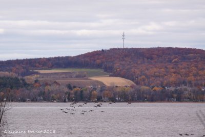 Paysage d'automne