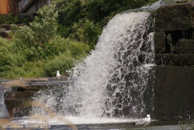 Barrage Ste-Martine 