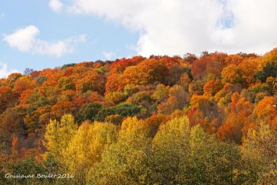 Automne 2016