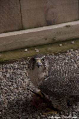 IMG_7669.jpg