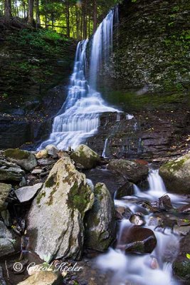 Bucktail Falls 2
