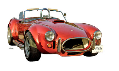 COBRA IMG_5368