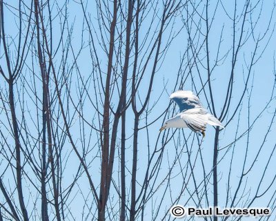 16A_0026 AE.jpg