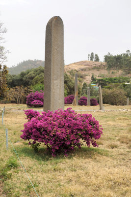 g9/07/834307/3/160024049.bMirEGi0.jpg