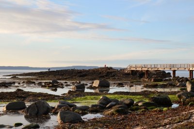 Footbridge to the rocks