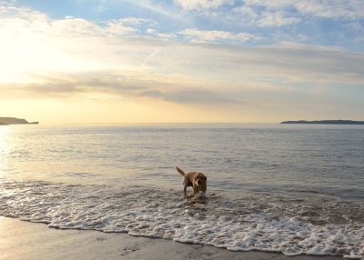 On Ballycastle beach