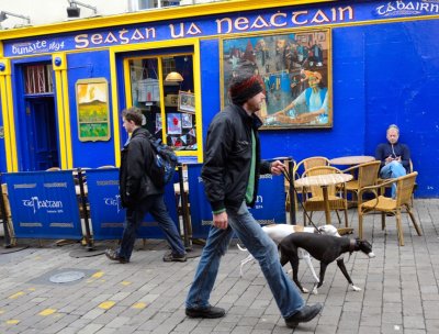 Walking the dogs in Galway