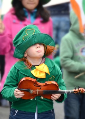 Little fiddler