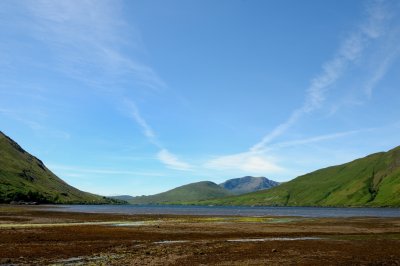 Lowtide 