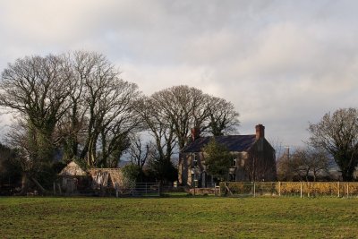 Old house in the trees