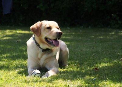 Happy in the sun