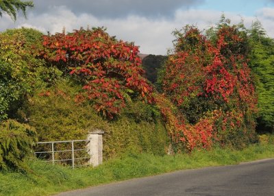 Autumn takes over