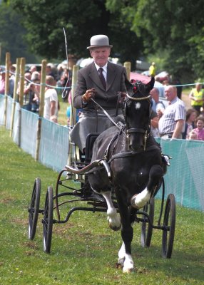 A high stepping entry at Louth Agricultural Show
