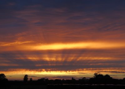 Sunset and silage