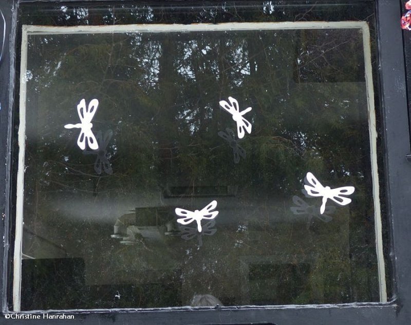 Window with stick ons