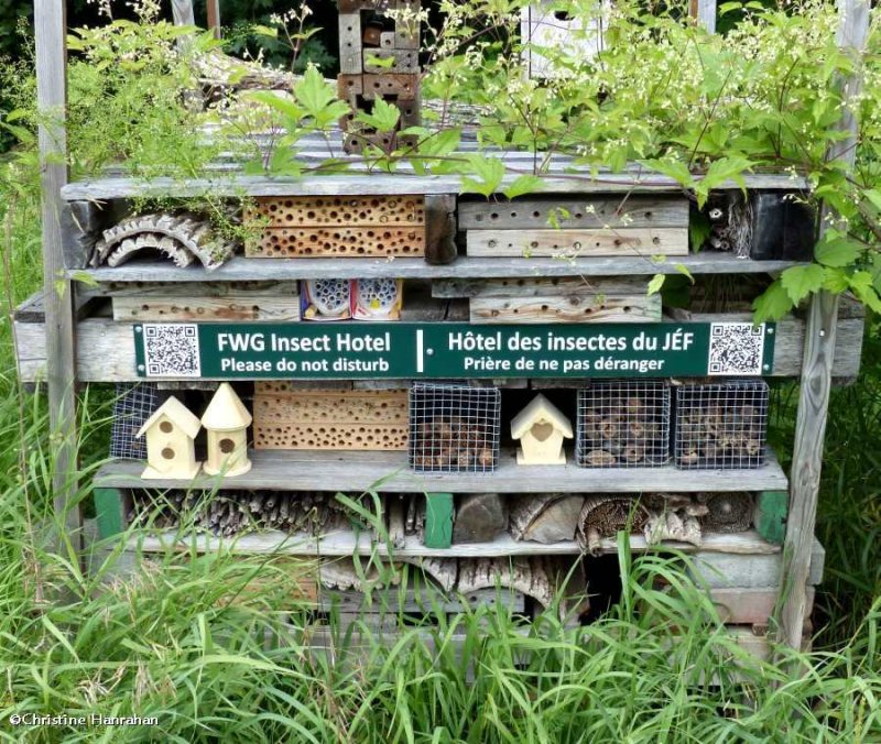 Insect hotel