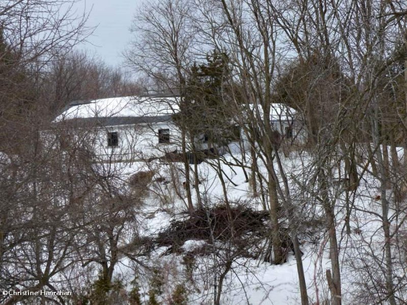 Looking to the Interpretation Centre across the ravine