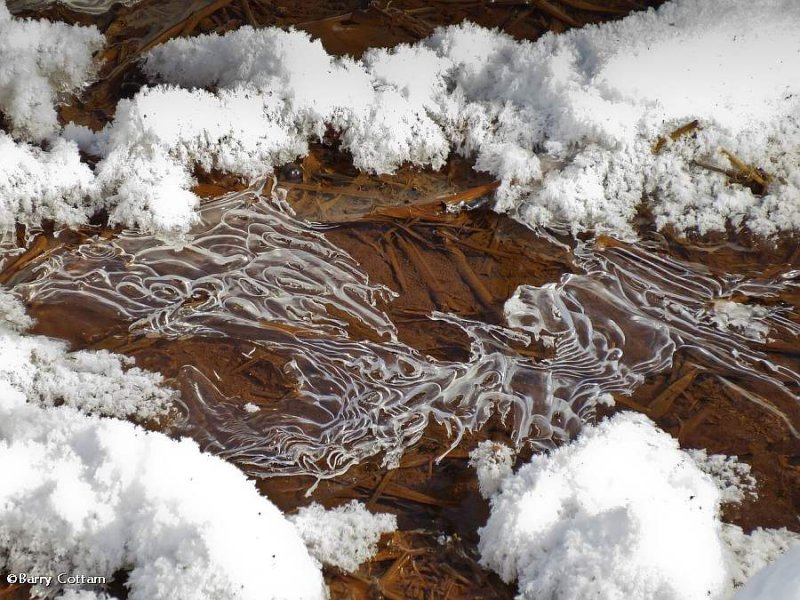 Ice patterns
