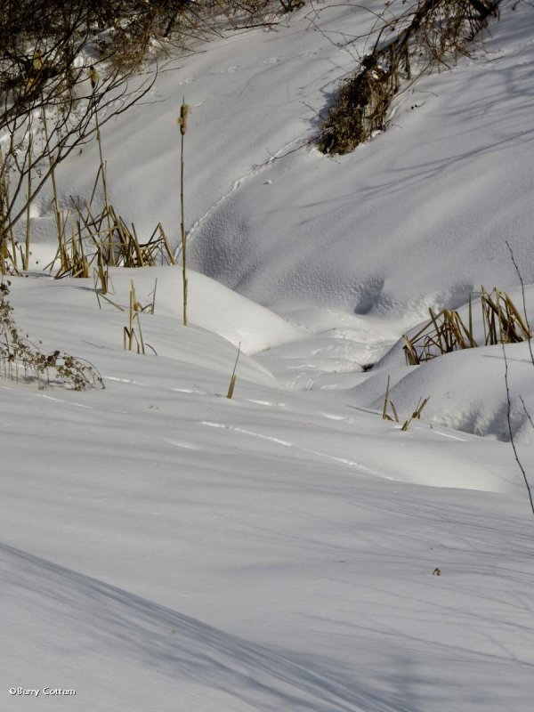 Ravine