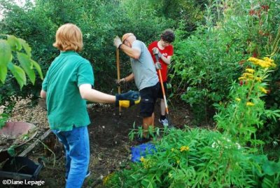 Volunteers helping to weed the butterfly meadow