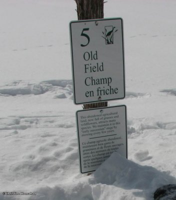 Old field sign