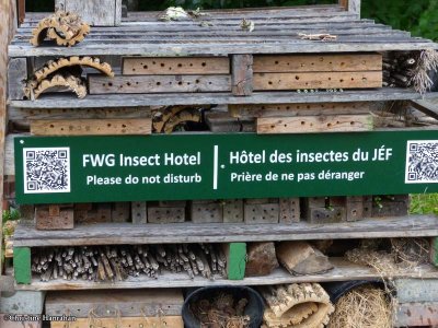 Insect Hotel