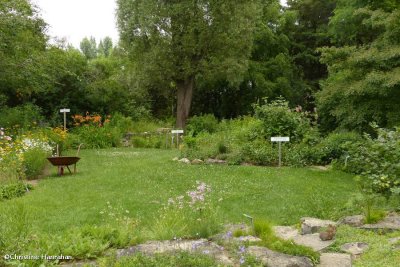 Backyard Garden of the Fletcher Wildlife Garden  July 2015