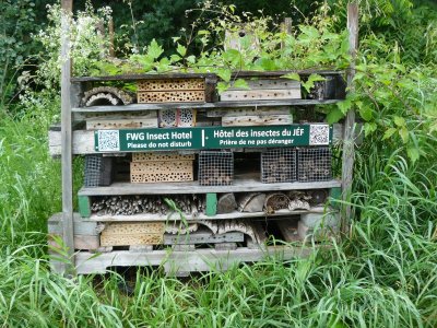 Insect hotel - 28 June 2015