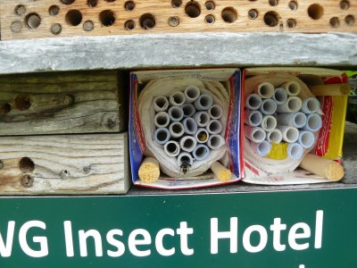 Mason bee boxes - 7 July 2015