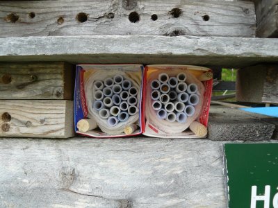 Bee boxes and the insect hotel at the FWG