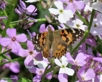 FWG Blog: June 2016