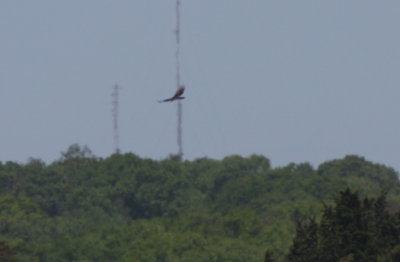 130527 IMG_6657 TV over Back River marsh.jpg