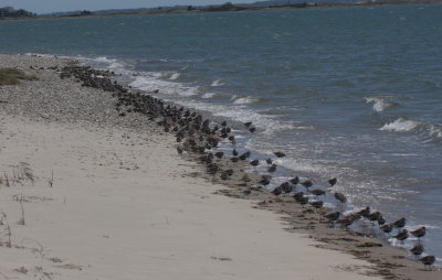 130527 IMG_6748 packed shore s of HighPines.jpg