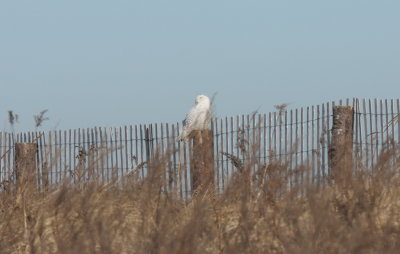 140307b IMG_3500.jpg
