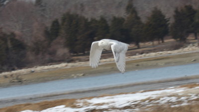 140307c IMG_3549.jpg