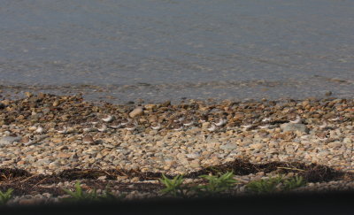 g9/07/894807/3/156882795.uBimsnE0.jpg