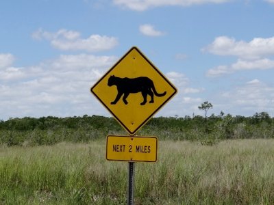 Panther Crossing sign