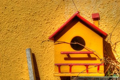 Bird House.jpg