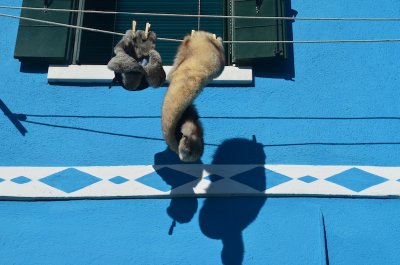 DSC_0394.JPG
