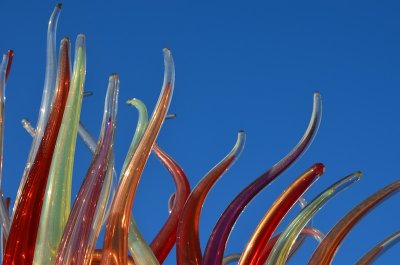 DSC_0718.JPG