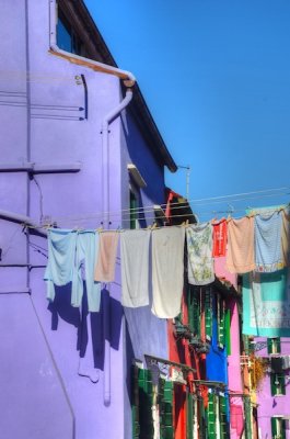 Purple.jpg