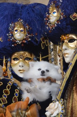Venice 2012