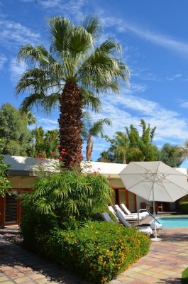 Palm Springs 2011